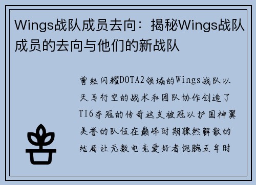 Wings战队成员去向：揭秘Wings战队成员的去向与他们的新战队
